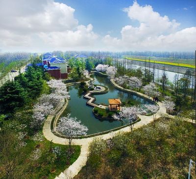 龙湾国家考古遗址公园和百花岛生态园景区恢复开放
