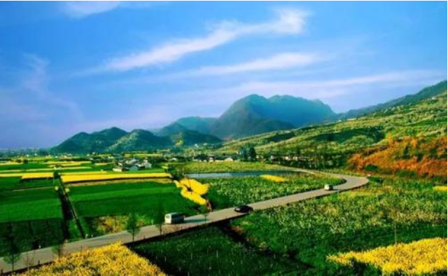 美明乡村建设视域下的乡村旅游发展探析一以扬州市大同村农业观光园