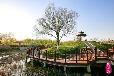 黄河故道桃花源精心打造农旅结合生态园区